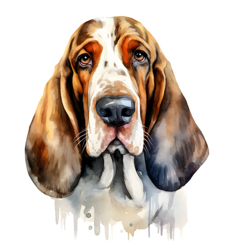 Basset Hound (3) Poster Canvas Movie Film Print A0 A1 A2 A3 A4 A5 A6 Art Wall De