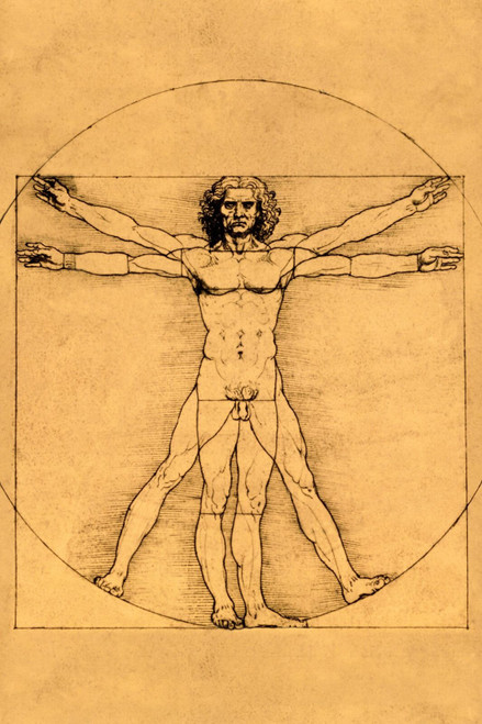 Proportions of the Human Figure, Leonardo da Vinci, 1485-1490 Poster Canvas Movi