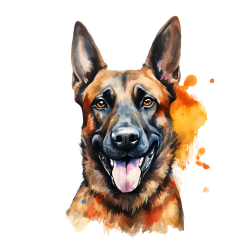 Belgian Malinois (7) Poster Canvas Movie Film Print A0 A1 A2 A3 A4 A5 A6 Art Wal