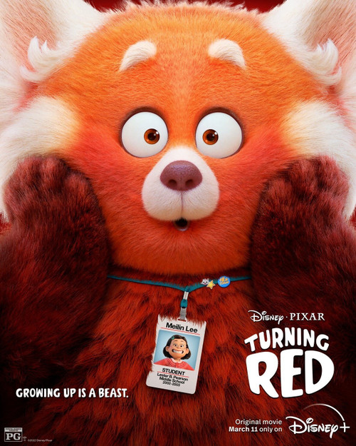 Turning Red (2022)_12 Poster Canvas Movie Film Print A0 A1 A2 A3 A4 A5 A6 Art Wa