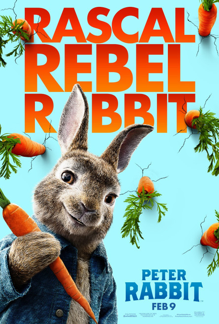 Peter Rabbit (2018)_3 Poster Canvas Movie Film Print A0 A1 A2 A3 A4 A5 A6 Art Wa