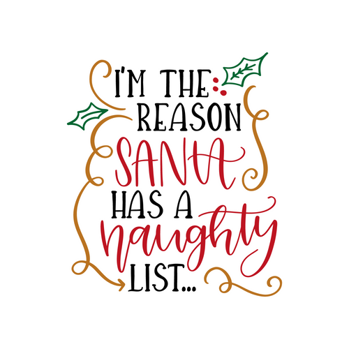 Im The Reason Santa Has a Naughty List Funny Poster Creative Canvas Print A0 A1