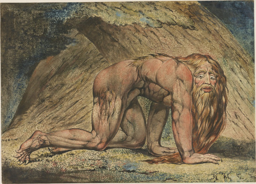 William Blake - Nebuchadnezzar version 1 Poster Canvas Movie Film Print A0 A1 A2