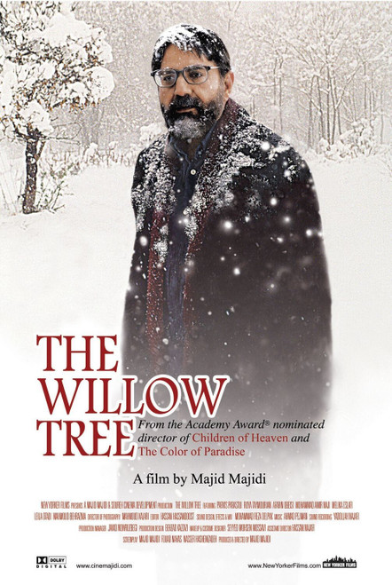 The Willow Tree (2007)_0 Poster Canvas Movie Film Print A0 A1 A2 A3 A4 A5 A6 Art
