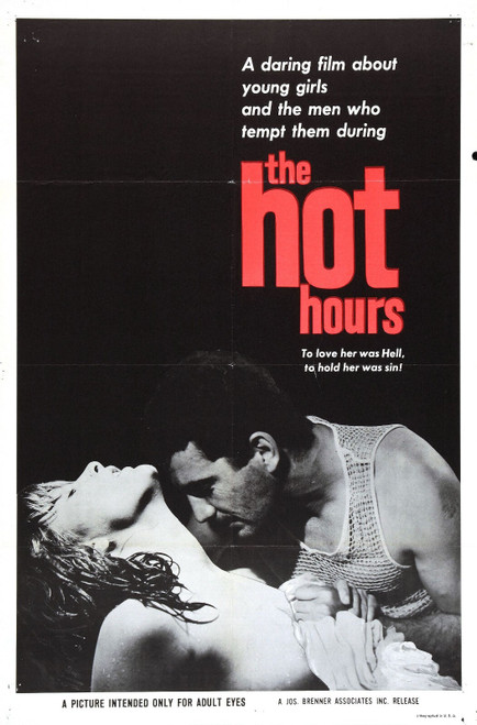 Hot Hours 01 Poster Canvas Movie Film Print A0 A1 A2 A3 A4 A5 A6 Art Wall Decora