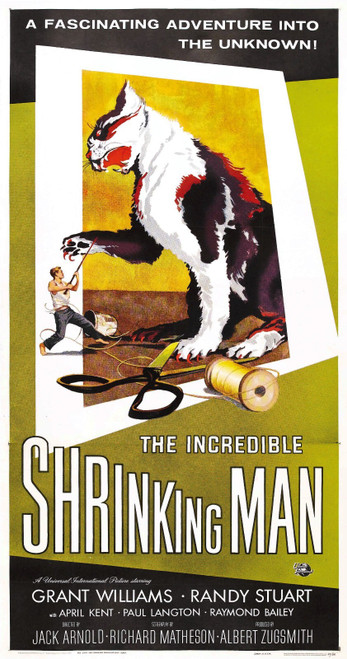 Incredible Shrinking Man 04 Poster Canvas Movie Film Print A0 A1 A2 A3 A4 A5 A6