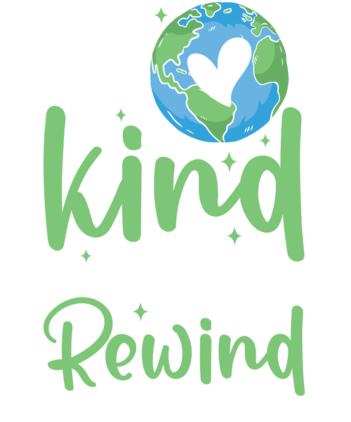 38. Be kind we can't rewind Poster Canvas Movie Film Print A0 A1 A2 A3 A4 A5 A6