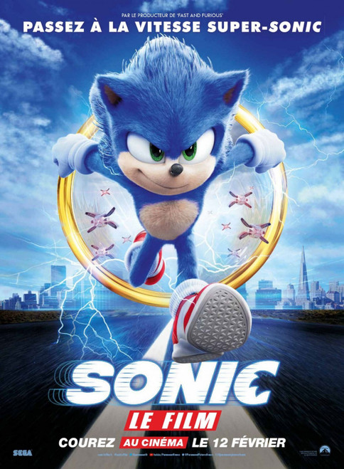 Sonic the Hedgehog (2020)_20 Poster Canvas Movie Film Print A0 A1 A2 A3 A4 A5 A6