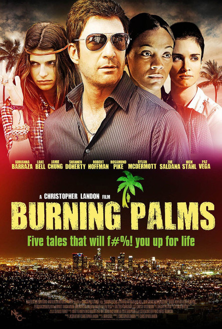 Burning Palms (2011)_2 Movie Film Poster Canvas iconic design