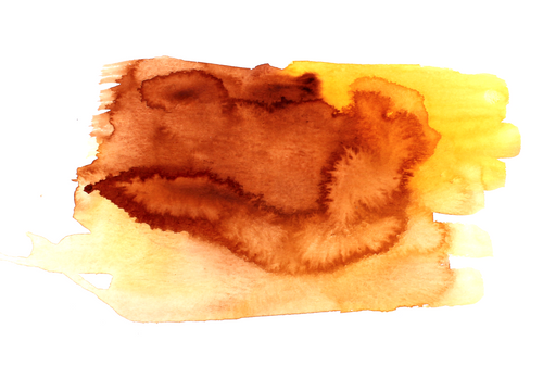 FishandSeaWatercolor (23) Poster Canvas Movie Film Print A0 A1 A2 A3 A4 A5 A6 Ar