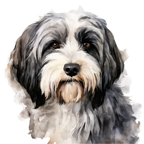 Tibetan Terrier (3) Poster Canvas Movie Film Print A0 A1 A2 A3 A4 A5 A6 Art Wall