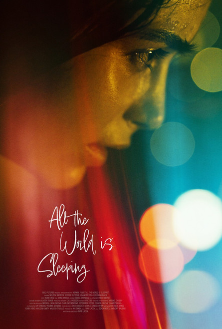 All the World Is Sleeping (2023)_0 Movie Film Poster Canvas iconic design