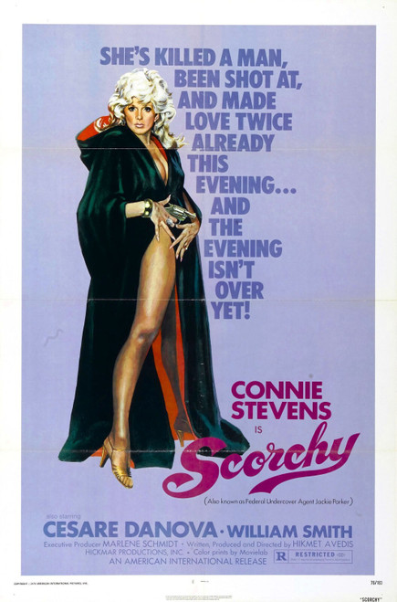 Scorchy 01 Poster Canvas Movie Film Print A0 A1 A2 A3 A4 A5 A6 Art Wall Decorati