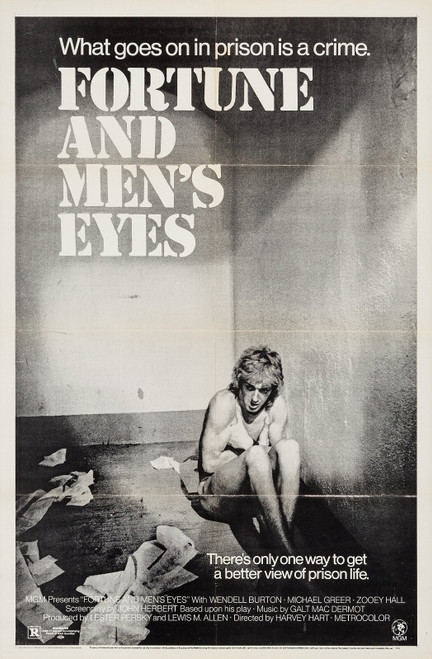 Fortune and Men_s Eyes (1971)_1 Movie Film Poster Canvas iconic design
