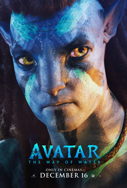 Avatar The Way of Water 13 Poster Canvas Movie Film Print A0 A1 A2 A3 A4 A5 A6 A