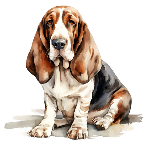 Basset Hound (1) Poster Canvas Movie Film Print A0 A1 A2 A3 A4 A5 A6 Art Wall De