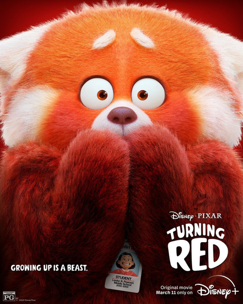 Turning Red (2022)_8 Poster Canvas Movie Film Print A0 A1 A2 A3 A4 A5 A6 Art Wal