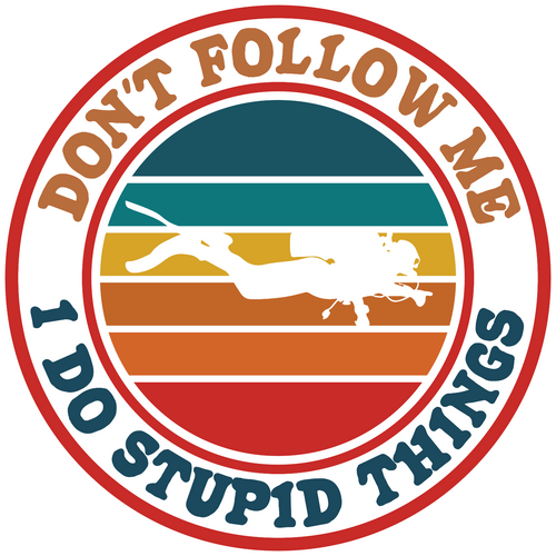 Don't follow me i do stupid things-01 (2) Poster Canvas Movie Film Print A0 A1 A