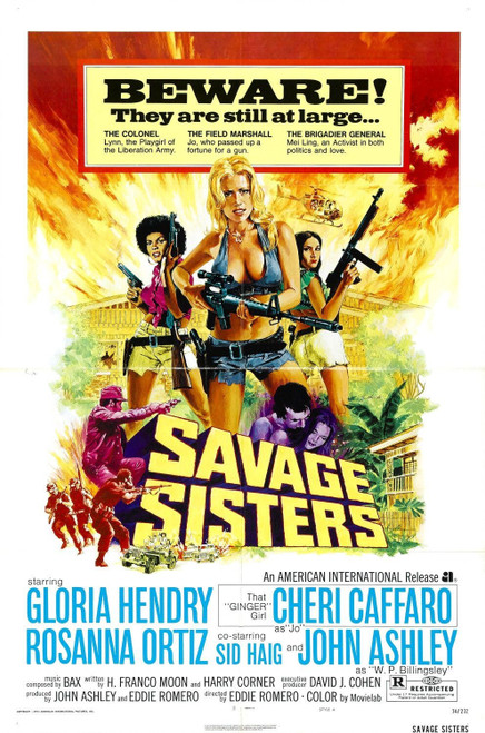 Savage Sisters (1974)_0 Poster Canvas Movie Film Print A0 A1 A2 A3 A4 A5 A6 Art