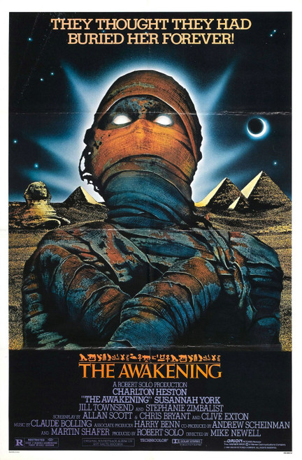 Awakening 01 Poster Canvas Movie Film Print A0 A1 A2 A3 A4 A5 A6 Art Wall Decora