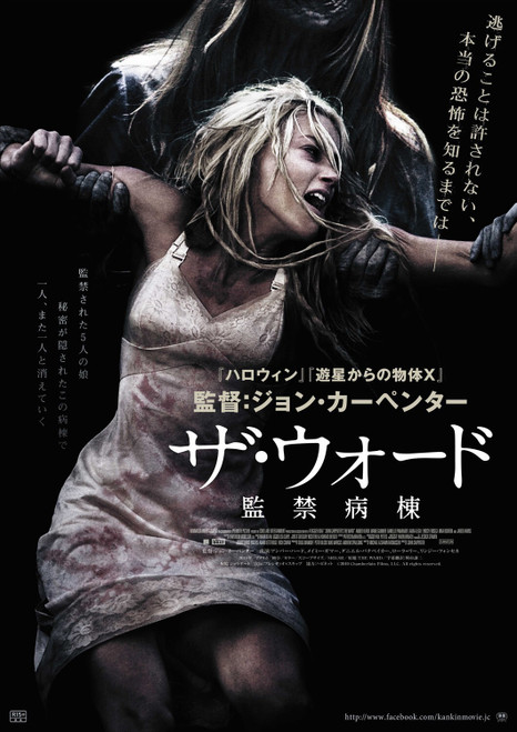 The Ward (2011)_5 Poster Canvas Movie Film Print A0 A1 A2 A3 A4 A5 A6 Art Wall D