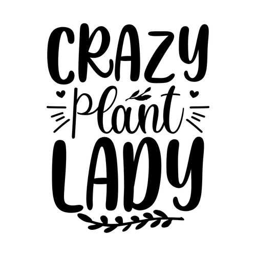 CRAZY PLANT LADY-01 Poster Canvas Movie Film Print A0 A1 A2 A3 A4 A5 A6 Art Wall