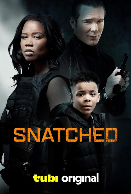 Snatched (2024)_0 Poster Canvas Movie Film Print A0 A1 A2 A3 A4 A5 A6 Art Wall D