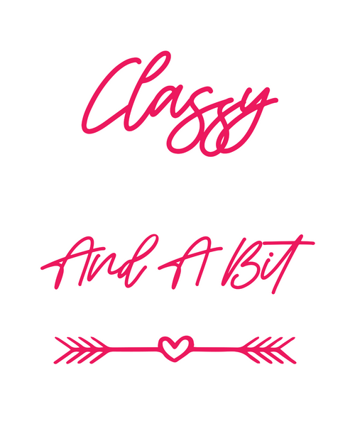 Classy Sassy And A Bit Smart Assy-01 (2) Poster Canvas Movie Film Print A0 A1 A2