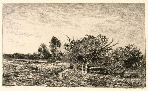 apple-trees-at-auvers-1877 Poster Canvas Movie Film Print A0 A1 A2 A3 A4 A5 A6 A