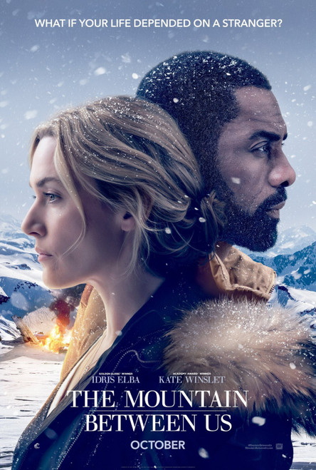 The Mountain Between Us (2017)_1 Poster Canvas Movie Film Print A0 A1 A2 A3 A4 A