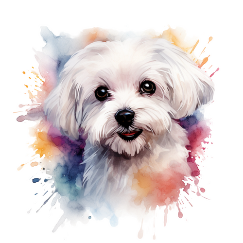 Maltese (2) Poster Canvas Movie Film Print A0 A1 A2 A3 A4 A5 A6 Art Wall Decorat