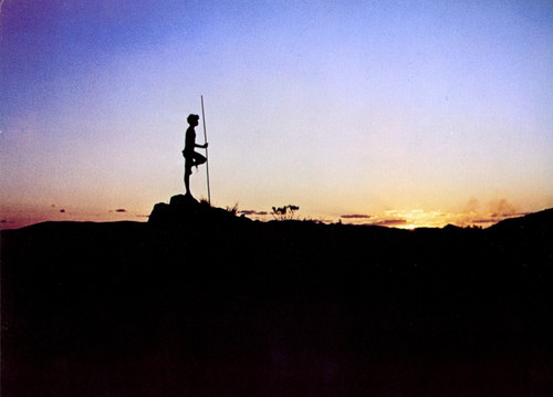 The Walkabout 1971 (4) Poster Canvas Movie Film Print A0 A1 A2 A3 A4 A5 A6 Art