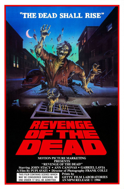 Revenge of a Dead Poster Canvas Movie Film Print A0 A1 A2 A3 A4 A5 A6 Art Wall D