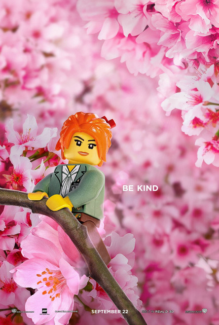 The Lego Ninjago Movie (2017)_11 Poster Canvas Movie Film Print A0 A1 A2 A3 A4 A