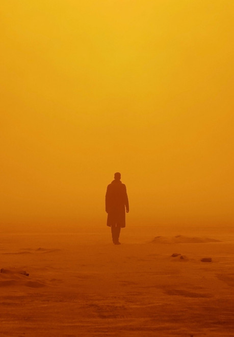 blade runner portrait Poster Canvas Movie Film Print A0 A1 A2 A3 A4 A5 A6 Art Wa