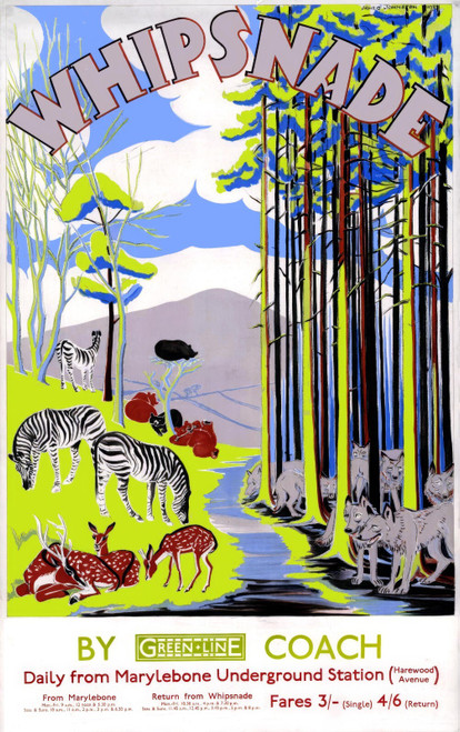 51584399678_JOHNSTON, Arnrid. Whipsnape by GreenLine Coach, 1932.-artofuniverse0