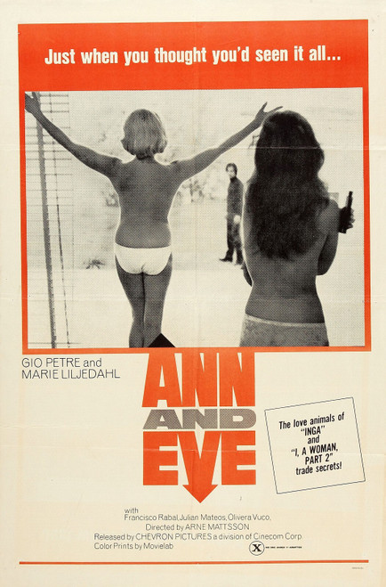 Ann And Eve 02 Poster Canvas Movie Film Print A0 A1 A2 A3 A4 A5 A6 Art Wall Deco