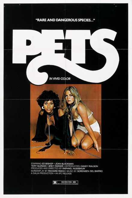 Pets 01 Poster Canvas Movie Film Print A0 A1 A2 A3 A4 A5 A6 Art Wall Decoration