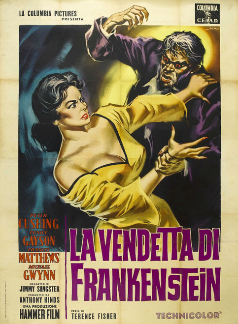 Revenge Of Frankenstein 05 Poster Canvas Movie Film Print A0 A1 A2 A3 A4 A5 A6 A