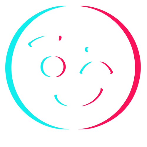 TikTok Fun (3) Poster Canvas Movie Film Print A0 A1 A2 A3 A4 A5 A6 Art Wall Deco