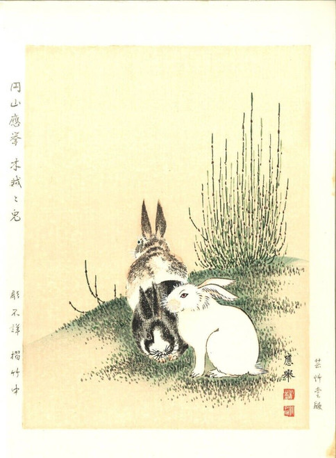 Maruyama Okyo Hanga Scouring Rushes & Rabbit Poster Canvas Movie Film Print A0