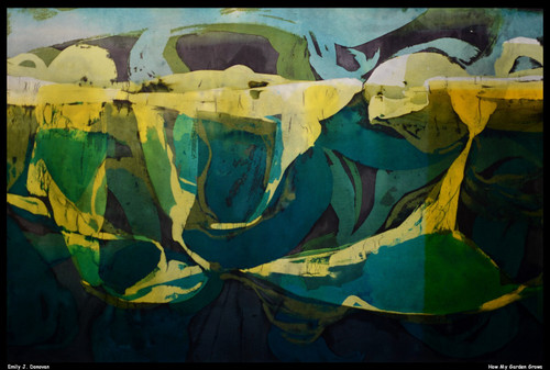 emily-j-donovan---how-my-garden-grows--jpb_29056306805_o(1) Poster Canvas Print