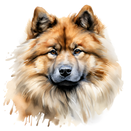 Eurasier (2) Poster Canvas Print Art Painting Decor Reprint wall A0 A1 A2 A3 A4