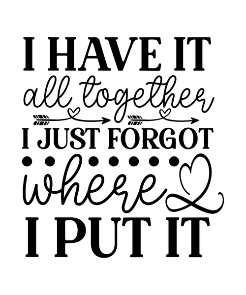 I Have It All Together I Just Forgot Where I Put It-01 (3) Poster Canvas Movie F