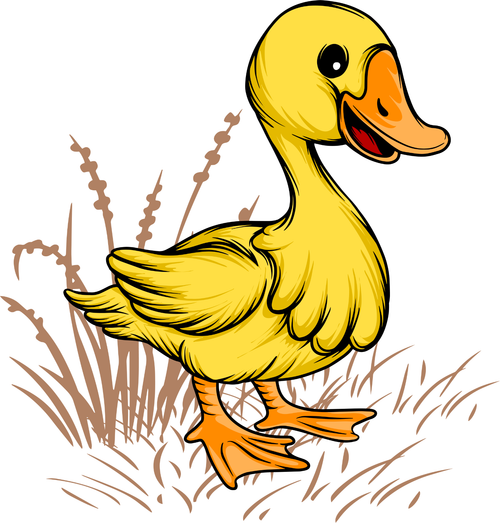 Duck Poster Canvas Movie Film Print A0 A1 A2 A3 A4 A5 A6 Art Wall Decoration