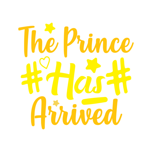 The Prince Has Arrived-01 (10) Poster Canvas Movie Film Print A0 A1 A2 A3 A4 A5