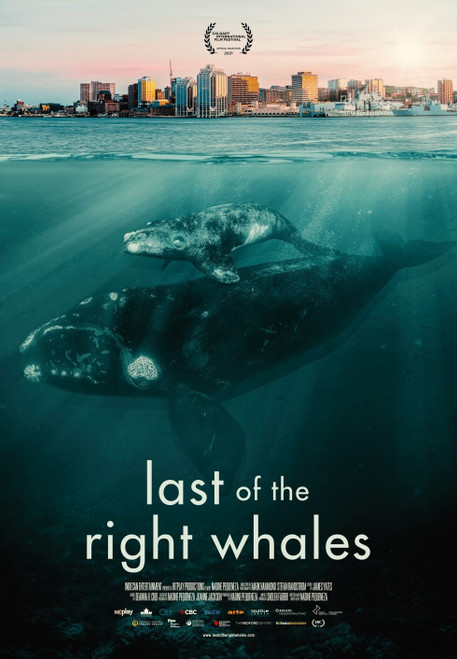Last of the Right Whales Poster Canvas Movie Film Print A0 A1 A2 A3 A4 A5 A6 Art