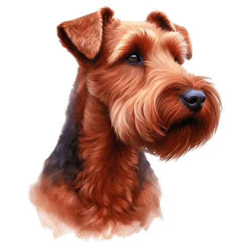 251 Irish Terrier Poster Canvas Movie Film Print A0 A1 A2 A3 A4 A5 A6 Art Wall D