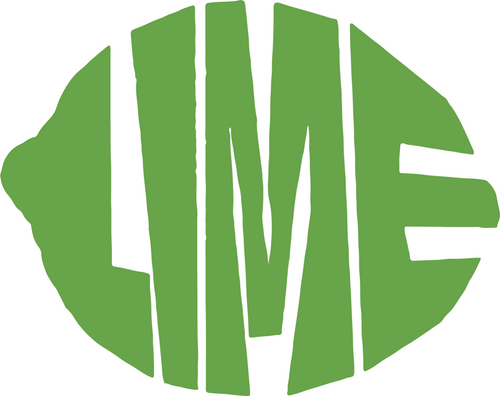 lime (2) Poster Canvas Movie Film Print A0 A1 A2 A3 A4 A5 A6 Art Wall Decoration