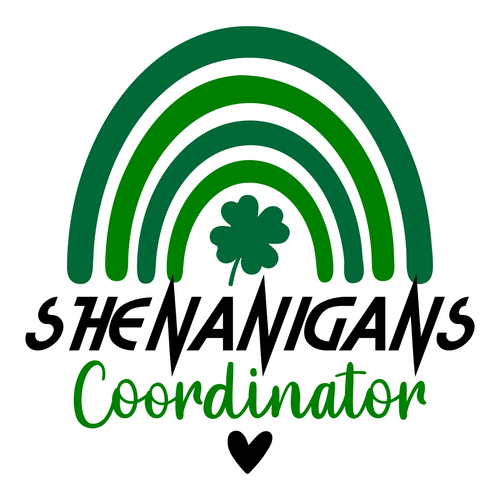 Shenanigans Coordinator-01 Poster Canvas Movie Film Print A0 A1 A2 A3 A4 A5 A6 A